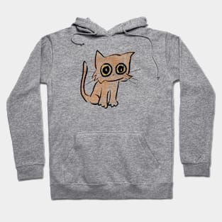 Scruffy Cat Hoodie